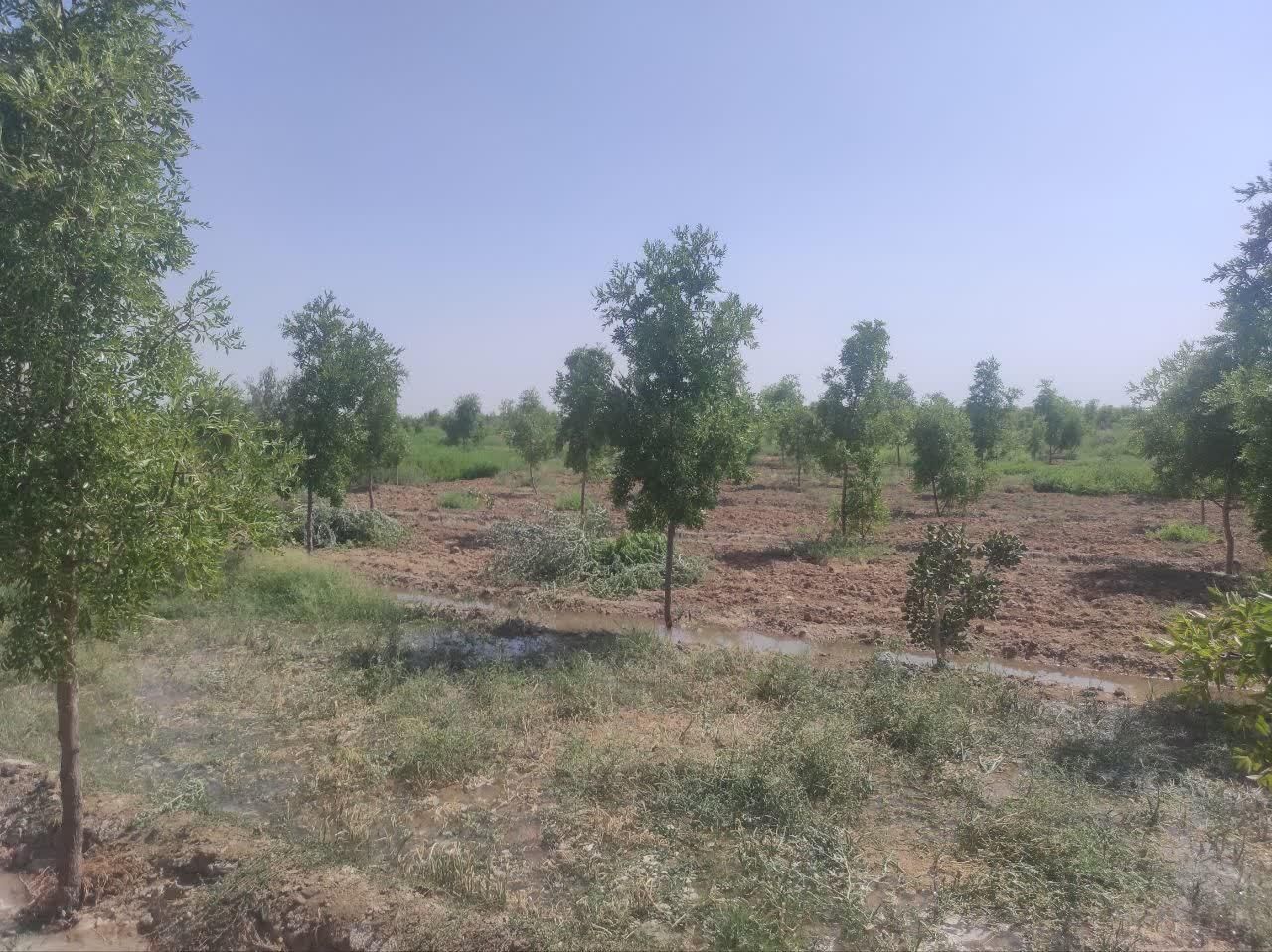 تصویر 6