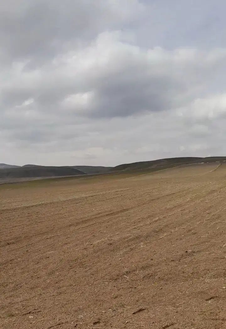 زمین کشاورزی حاصلخیز هفت هکتار دیم یک جا|فروش دفتر صنعتی، کشاورزی، تجاری|کرج, گلشهر|دیوار