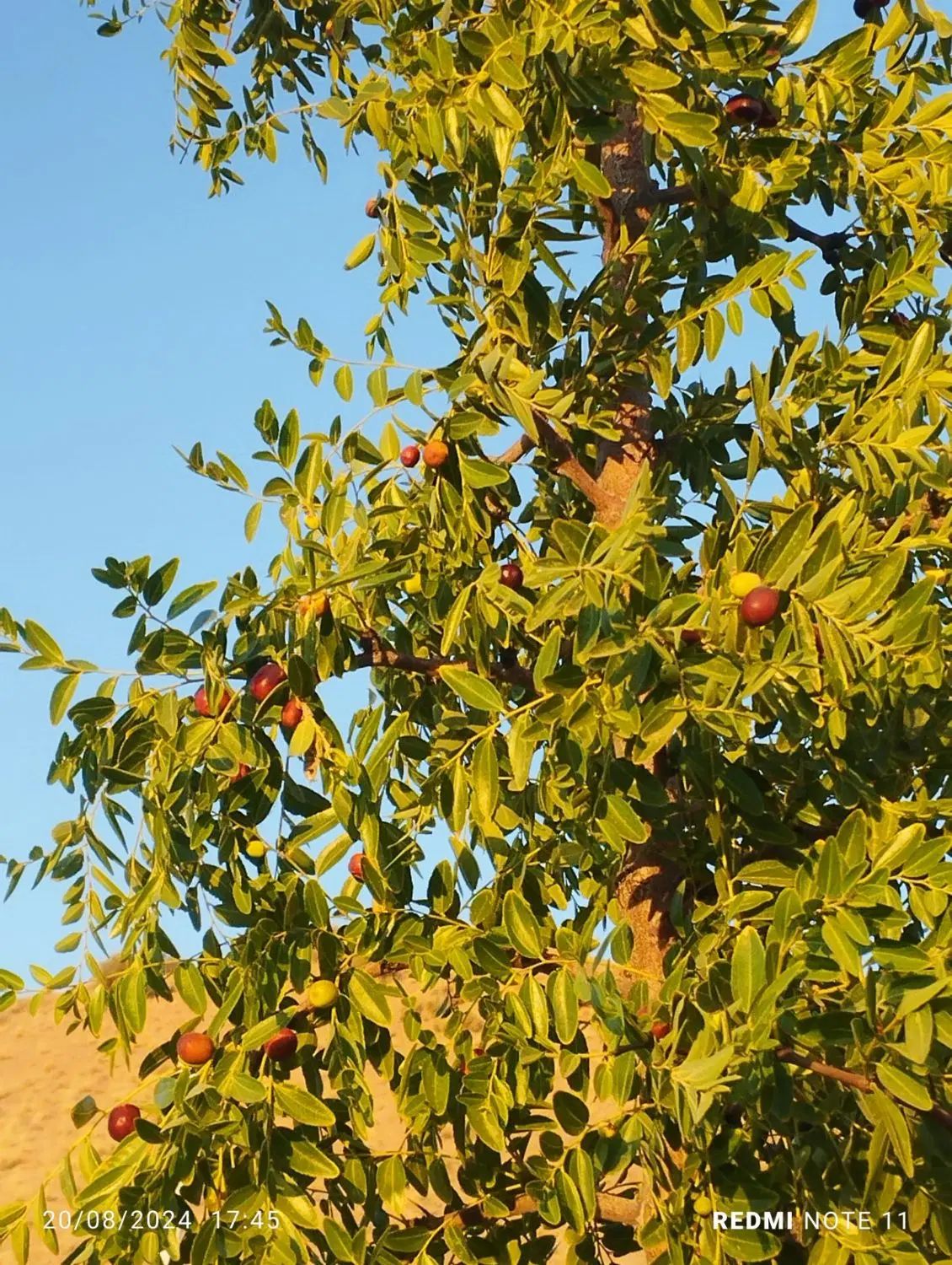 تصویر 3