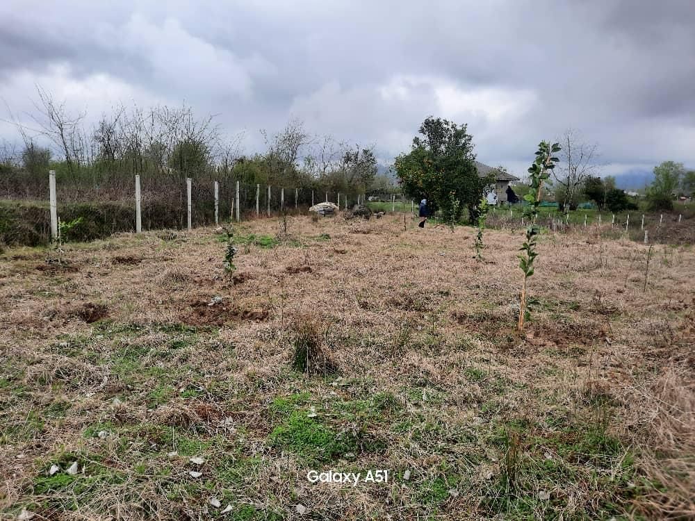 پلاک های مسکونی  باغی کلنگی ویژه مبین بالو|فروش زمین و ملک کلنگی|گوراب زرمیخ, |دیوار