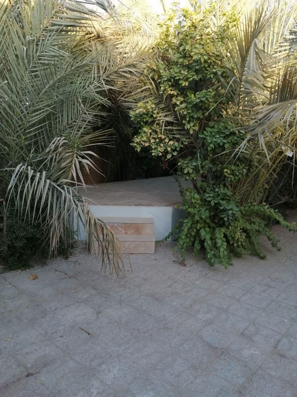 اجاره روزانه/هفتگی/ماهانه آپارتمان ۹۰ متری|اجارهٔ کوتاه‌مدت آپارتمان و سوئیت|طبس, |دیوار