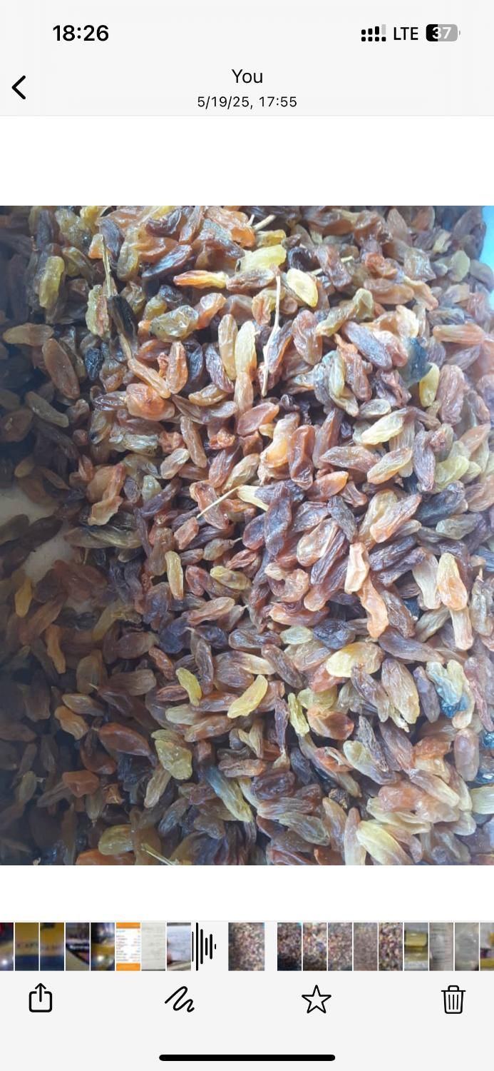 کشمش آفتابی کاشمر|خوردنی و آشامیدنی|تهران, امین حضور|دیوار