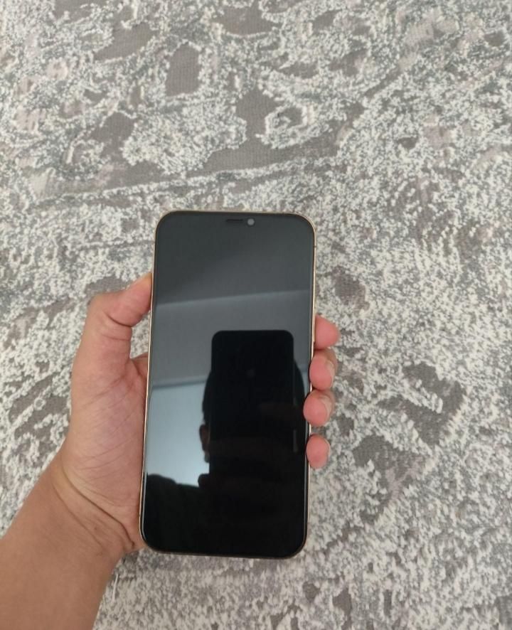 iPhone 12 Pro Max ۱۲۸ گیگابایت از دم قسط و نقدی|موبایل|کرج, عظیمیه|دیوار