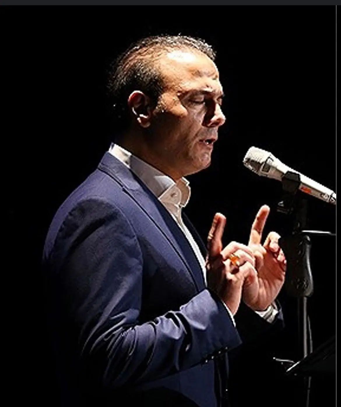 بلیت کنسرت علیرضا قربانی|بلیت کنسرت|تهران, قلهک|دیوار