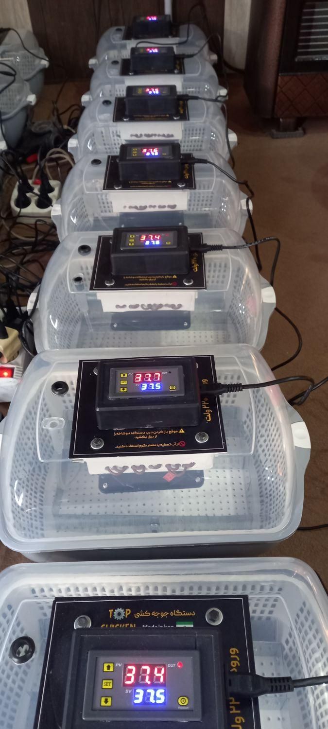 دستگاه جوجه کشی اقتصادی ارزان|لوازم جانبی حیوانات|اراک, |دیوار