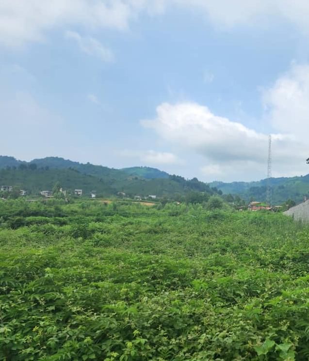 زمین ویوداربهترین جاده روستایی نزدیک شهرقابل تفکیک|فروش زمین و ملک کلنگی|لاهیجان, کوی استادان|دیوار