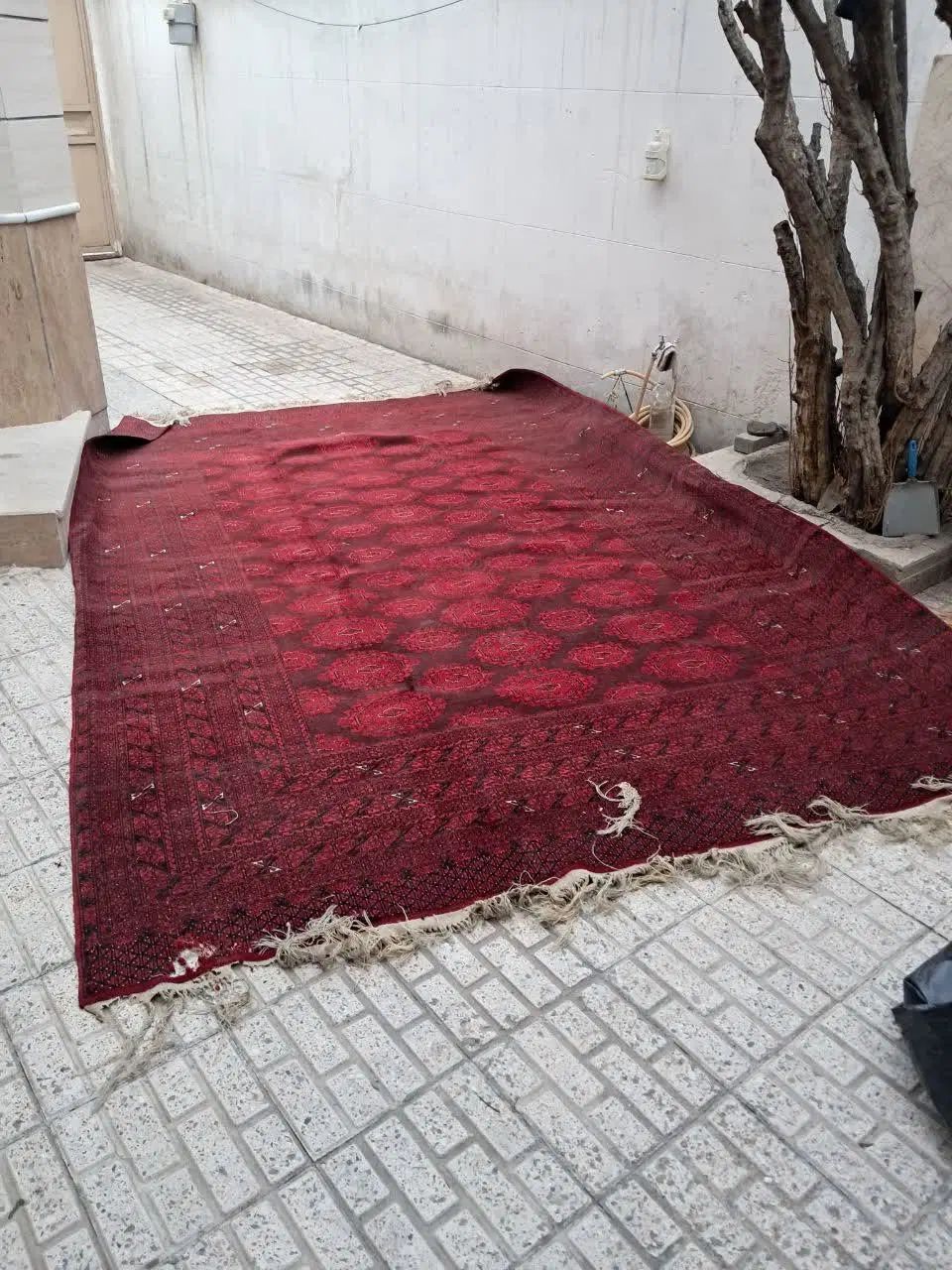 فرش دستباف افغان|فرش|مشهد, احمدآباد|دیوار