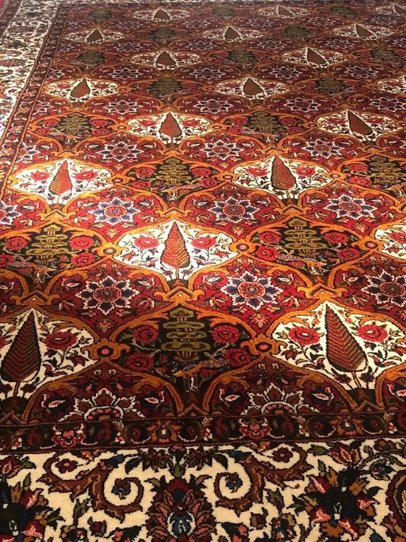 جفت فرش ۹ متری بختیاری نو طرح سرو و کاج|فرش|تهران, نارمک جنوبی|دیوار