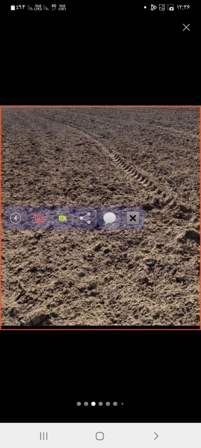 اجاره ۸ هکتار زمین کشاورزی با آب چاه فول|اجارهٔ دفتر صنعتی، کشاورزی، تجاری|برازجان, |دیوار