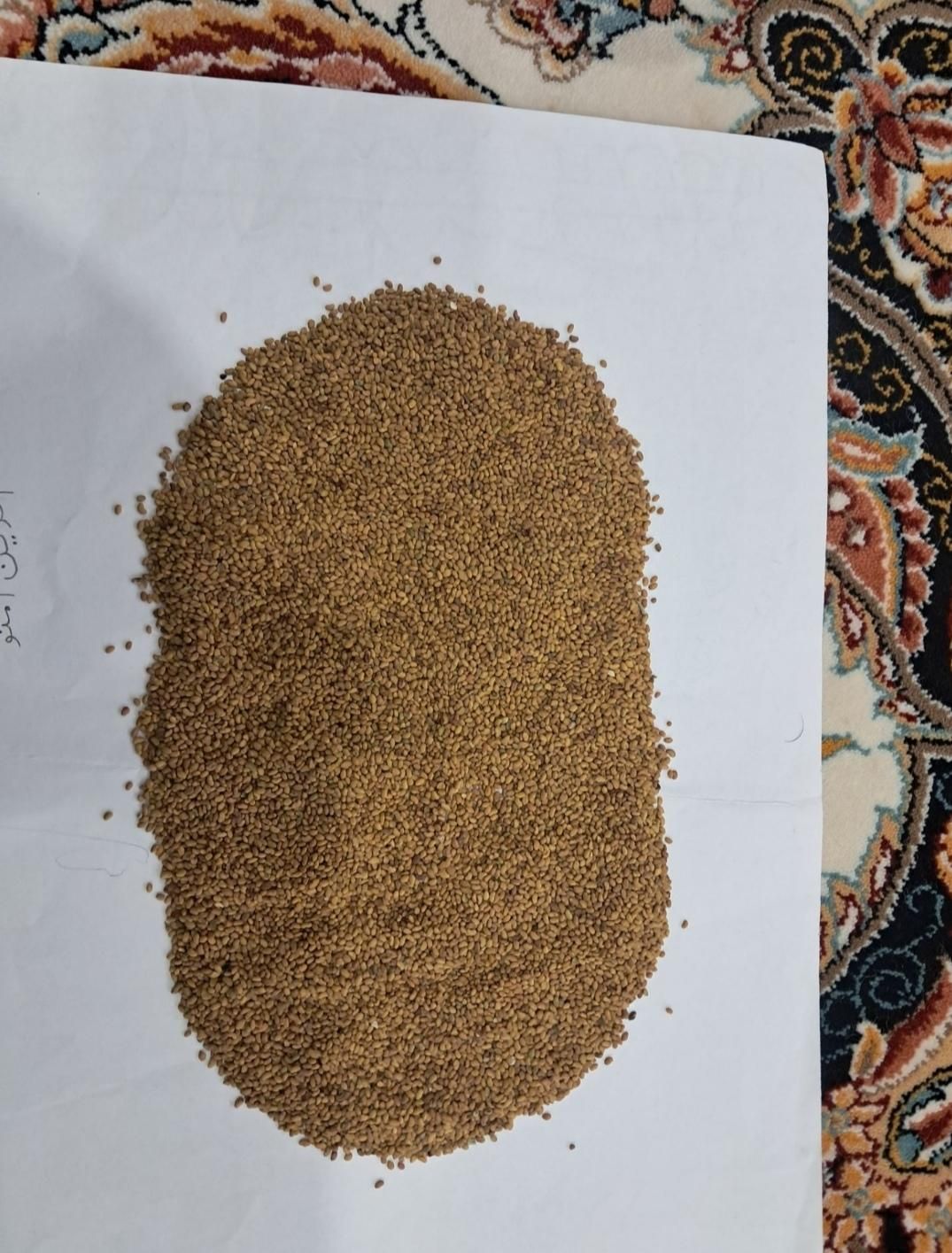 نمایندگی بذر یونجه پایه بلند موسوی|خدمات باغبانی و درختکاری|سقز, |دیوار