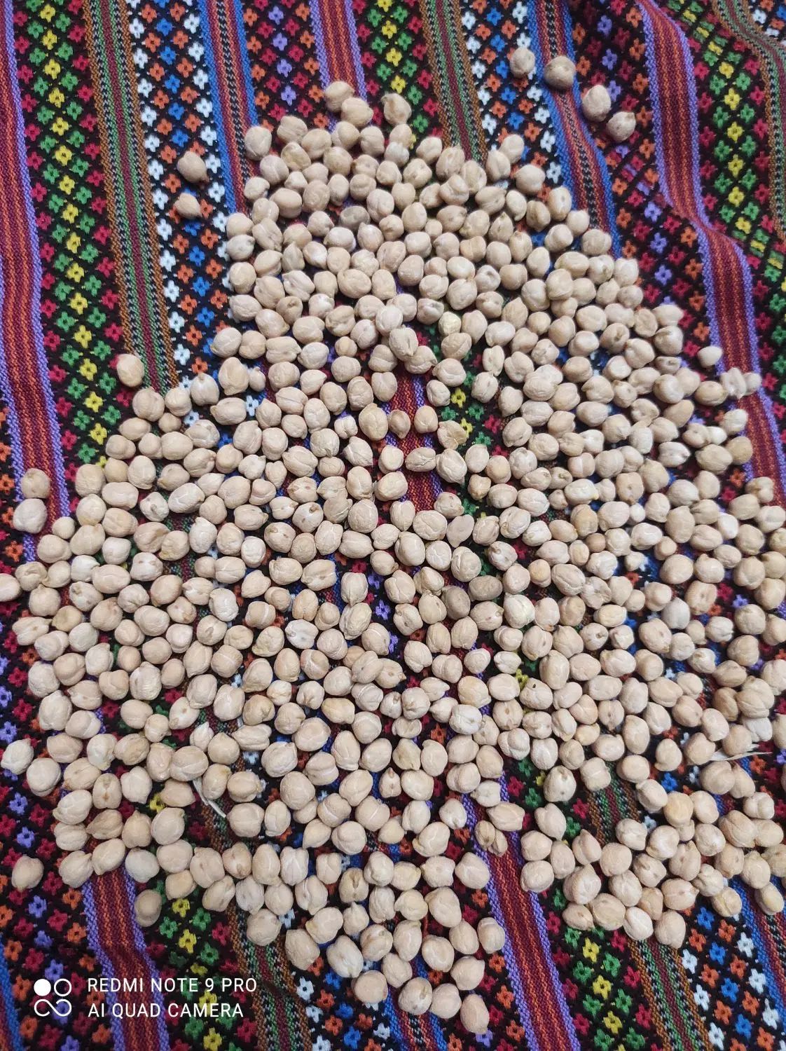نخود|خوردنی و آشامیدنی|کرج, کوی کارمندان جنوبی|دیوار