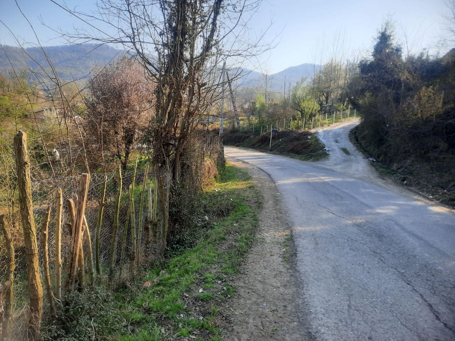 ۱۰۰۰ متر  کوهستانی پلاک اول جنگل|فروش زمین و ملک کلنگی|لاهیجان, گلستان|دیوار