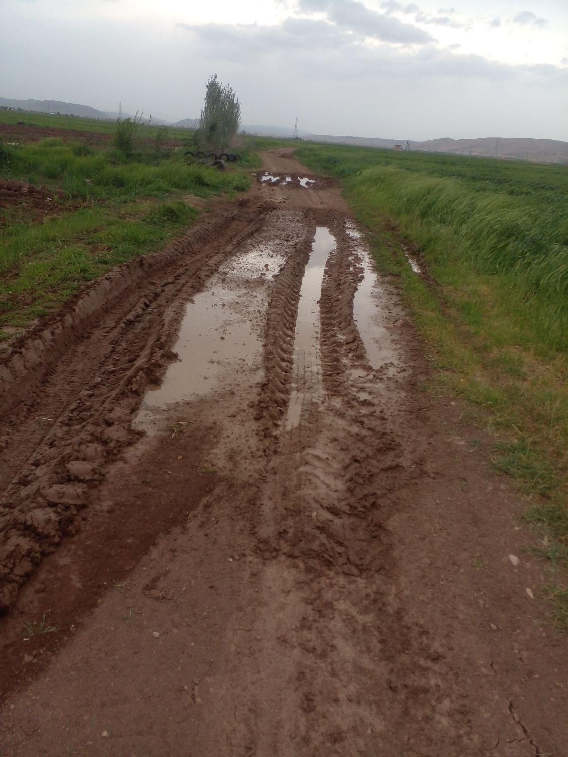 فروش ۱ و نیم هکتار آبی|فروش دفتر صنعتی، کشاورزی، تجاری|اسلام‌‌آباد غرب, |دیوار