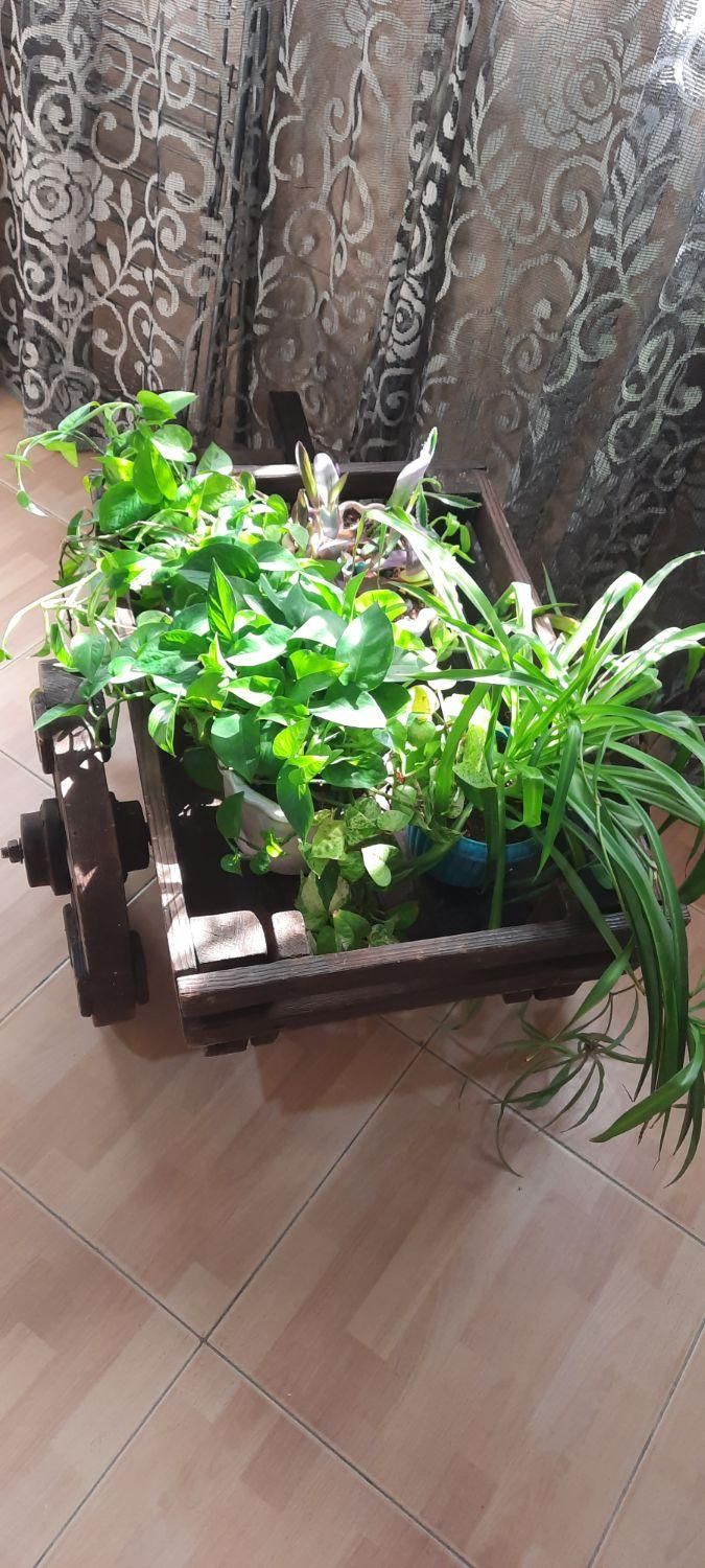 دکوری جا گلدانی گاری استند گل پینترسی|مجسمه، تندیس، ماکت|کرج, شهرک بنفشه|دیوار