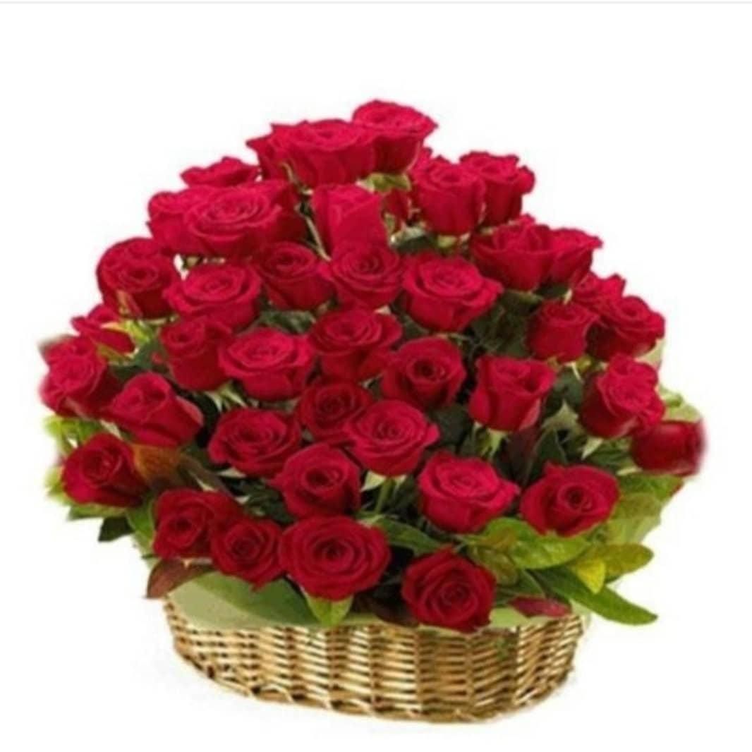 09144511720|سیم‌کارت|اردبیل, |دیوار