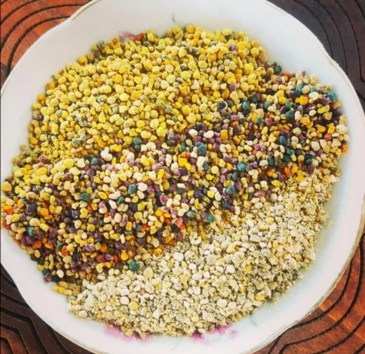 عسل زنبوردار|خوردنی و آشامیدنی|نوشهر, |دیوار