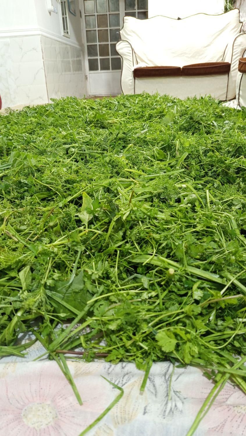 سبزی خورشتی رامهرمز|خوردنی و آشامیدنی|اهواز, کوی باهنر|دیوار