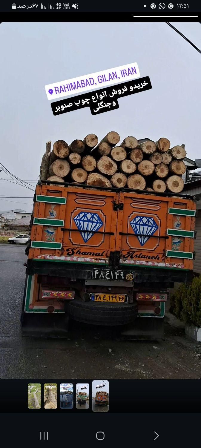 خرید چوب سرپایاقطع شده قیمت مناسب|خدمات باغبانی و درختکاری|آستانه اشرفیه, |دیوار