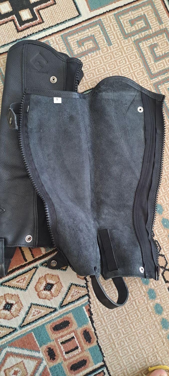 ساق بند (گتر )سوارکاری اشکان|اسب و تجهیزات اسبسواری|قزوین, |دیوار