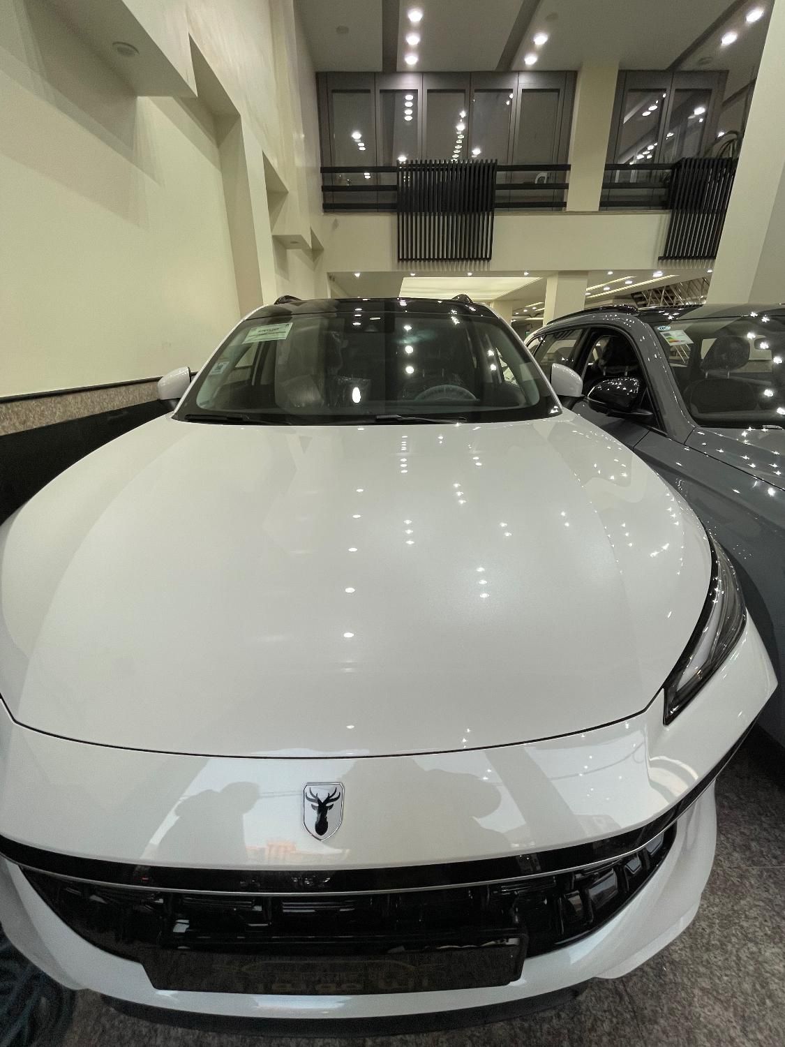 لاماری ایما همه رنگها صفرخشک روز|خودرو سواری و وانت|کرج, مهرویلا جنوبی|دیوار