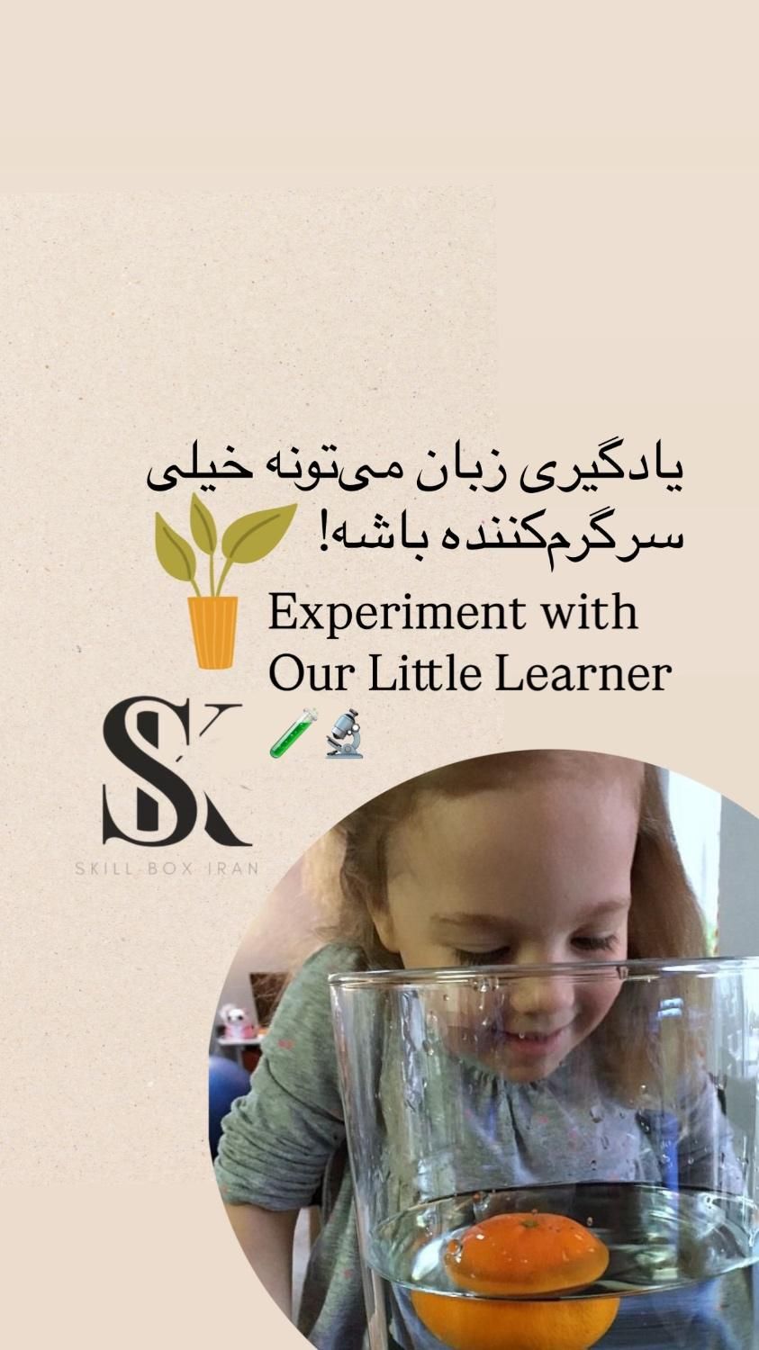 آموزش کودکان و بزرگسالان|خدمات آموزشی|تهران, حکمت|دیوار