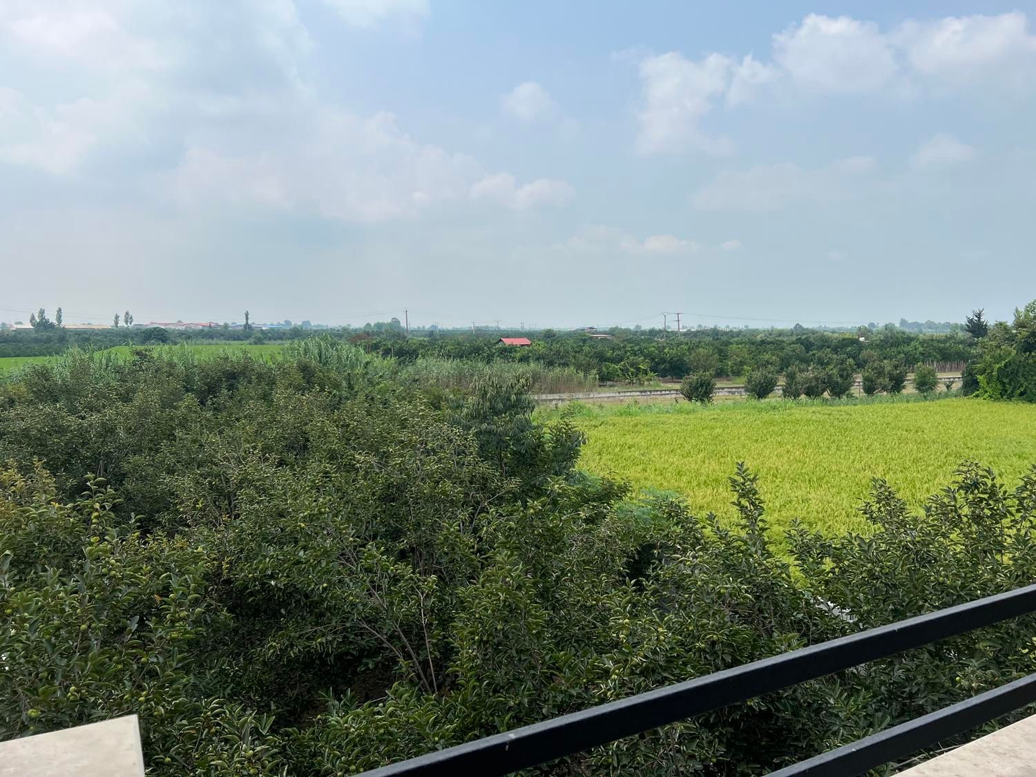 ویلا باغ ۷۵۰ متری شیک با ۱۶۰ متر بنای مدرن نوساز|فروش خانه و ویلا|کیاکلا, |دیوار