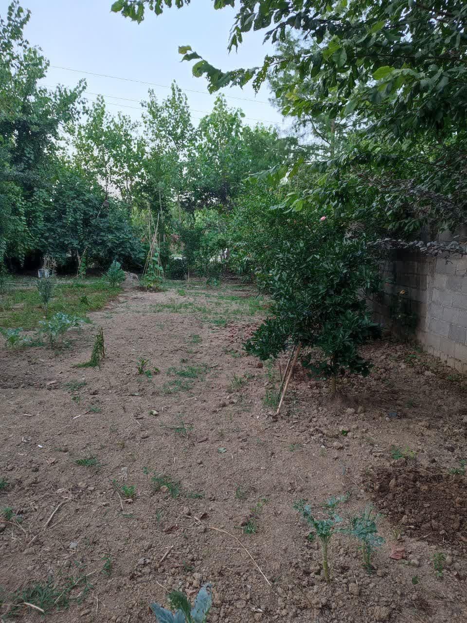 فروش زمین ۲۰۶ متری مسکونی|فروش زمین و ملک کلنگی|رشت, لاکان|دیوار