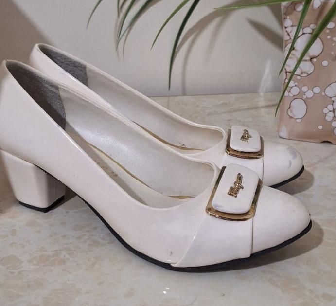 کفش و کیف زنانه|کیف، کفش، کمربند|تبریز, |دیوار