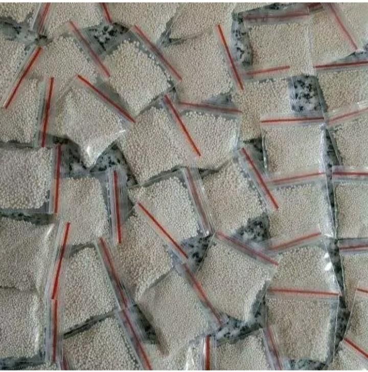 درمان کامل شپش تظمینی|آرایشی، بهداشتی، درمانی|پارس‌آباد, |دیوار