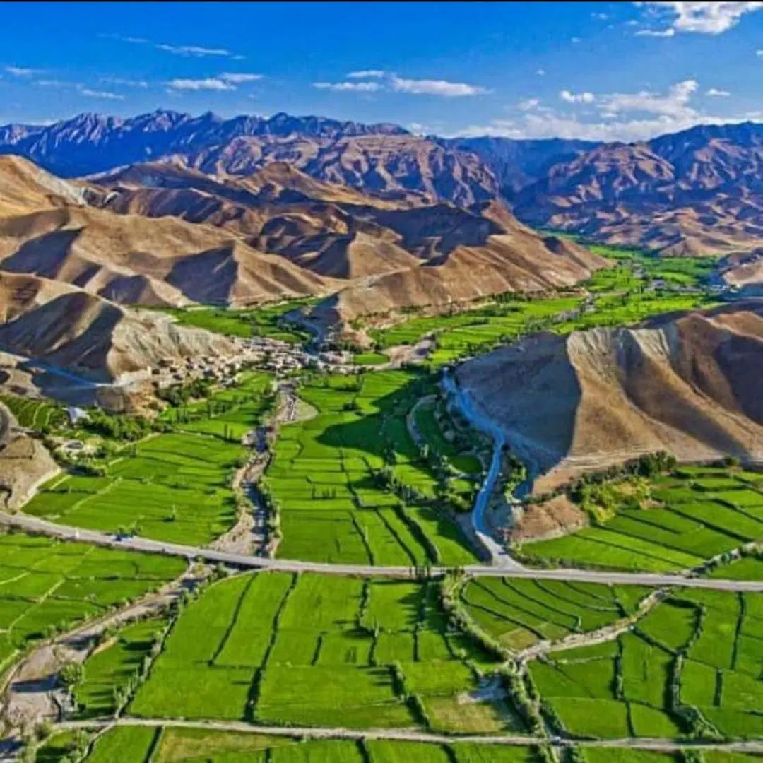 برنج درجه ۱ دم سیاه کلات|خوردنی و آشامیدنی|مشهد, فرهنگیان (شهرک غرب)|دیوار
