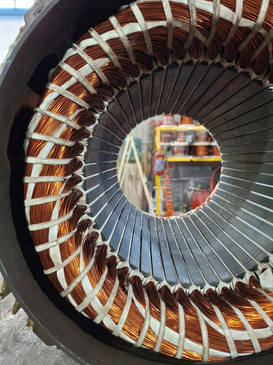 الکترو سیم پیچی دهقانی|خدمات پیشه و مهارت|بندر کنگان, |دیوار