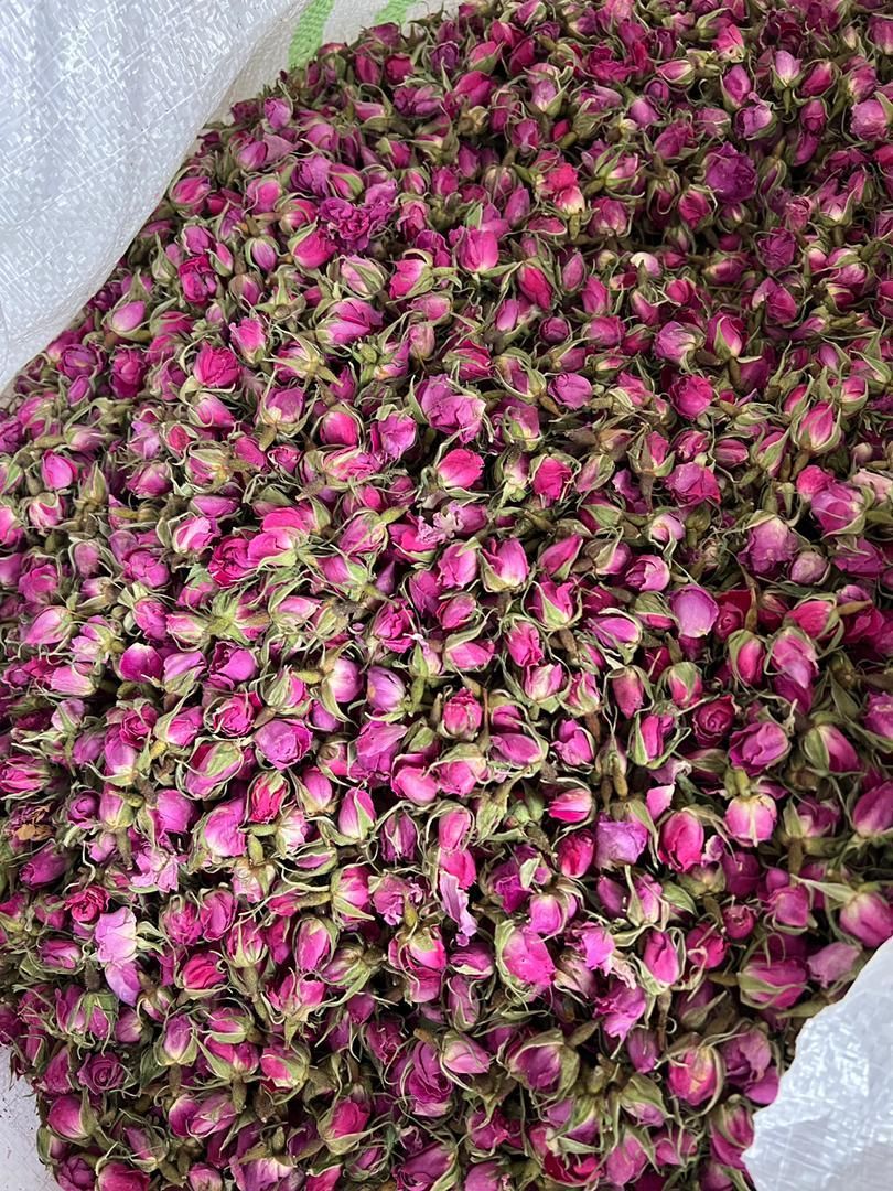 غنچه گل محمدی داراب،لاله زار،بافت|خوردنی و آشامیدنی|کرج, شهرک آسمان|دیوار