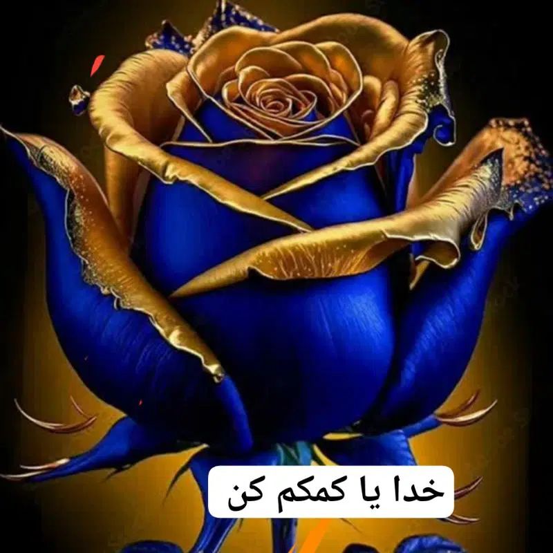 راهنمایی درخصوص یافتن پرستارشبانه روزی|فعالیت داوطلبانه|اصفهان, احمدآباد|دیوار