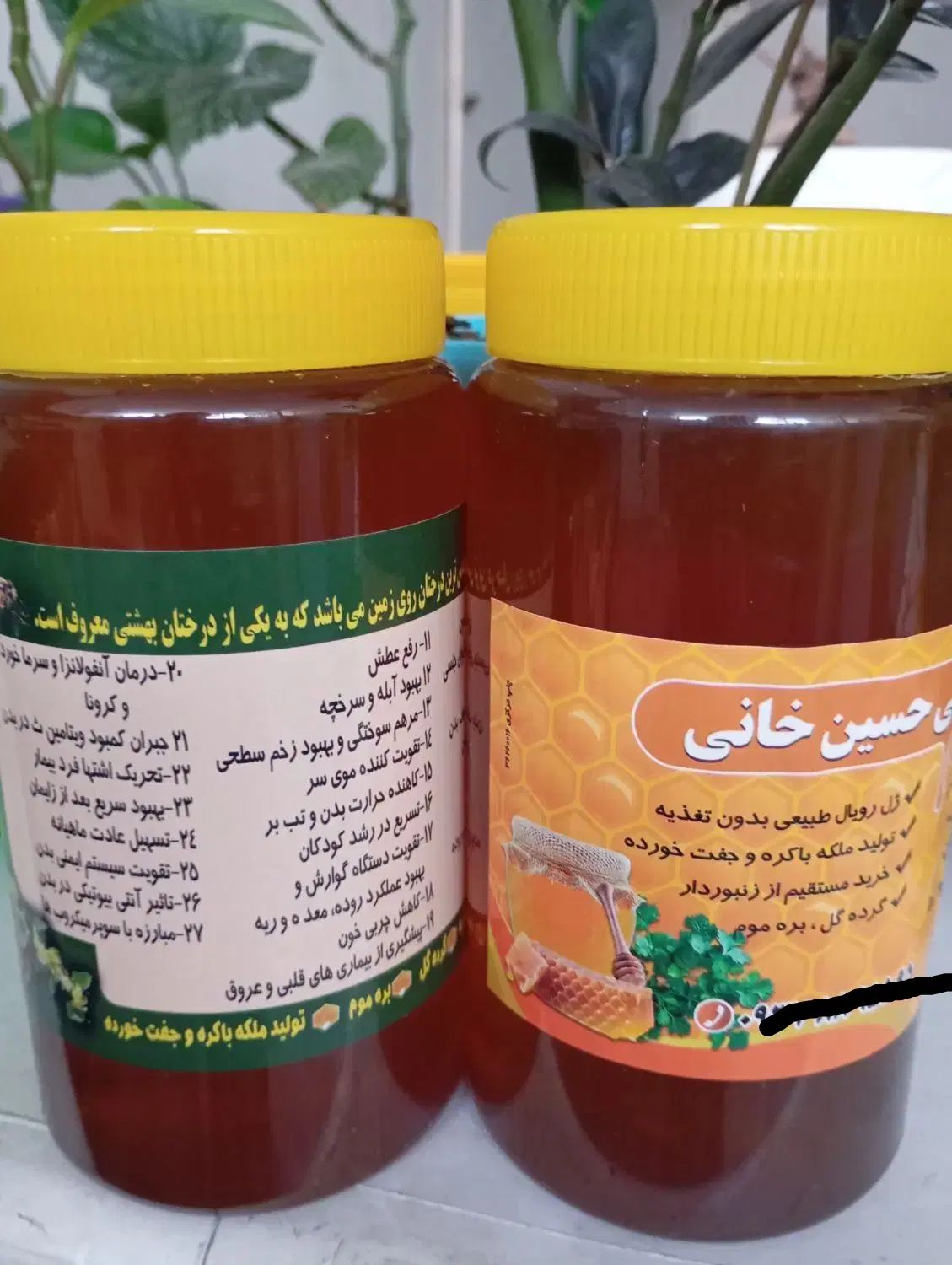 عسل طبیعی درمانی کنار و عسل طبیعی درمانیگشنیز|خوردنی و آشامیدنی|ورامین, ورامین|دیوار