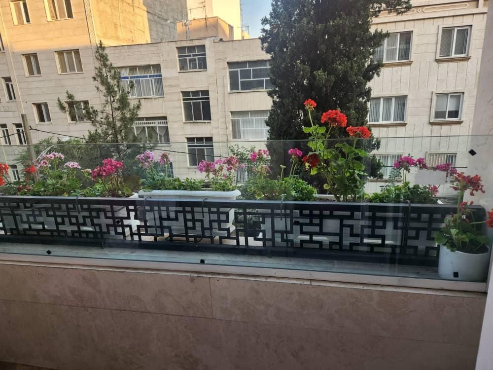 باغبانی وسمپاشی کل تهران و حومه با ضمانت و فاکتور|خدمات باغبانی و درختکاری|تهران, تجریش|دیوار