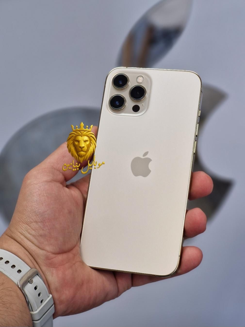 اپل iPhone 12 Pro Max سلامت کامل بشرط|موبایل|رشت, لاکانی|دیوار
