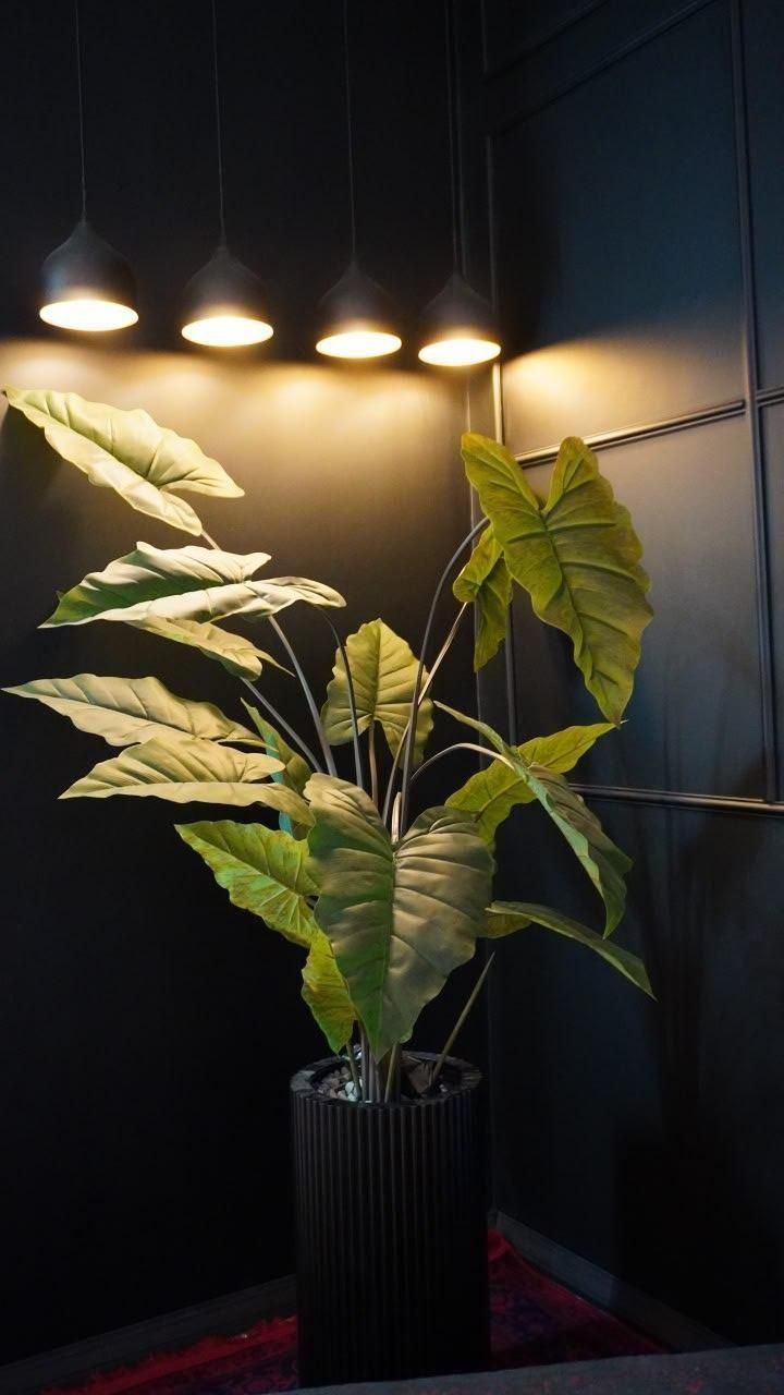 اجاره استودیو تولید محتوا|اجارهٔ کوتاه‌مدت دفتر کار و فضای آموزشی|شیراز, شهرک گلستان|دیوار