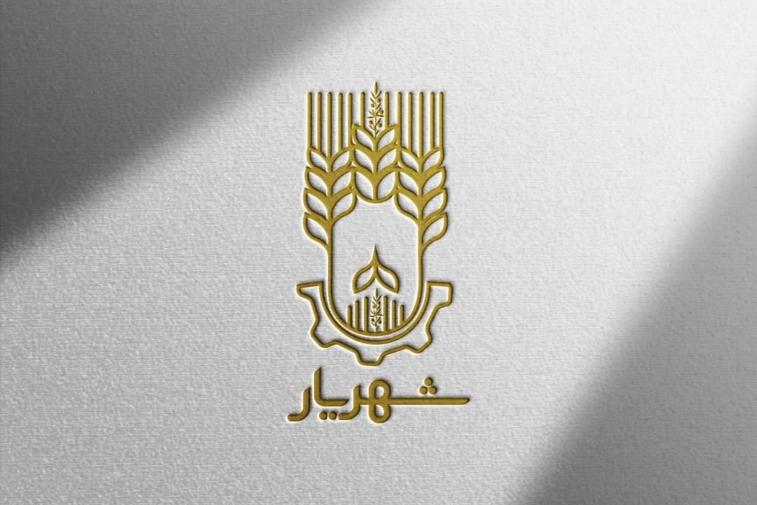 طراحی لوگو و لوگو تایپ تخصصی|خدمات رایانه‌ای و موبایل|شیراز, سینما سعدی|دیوار