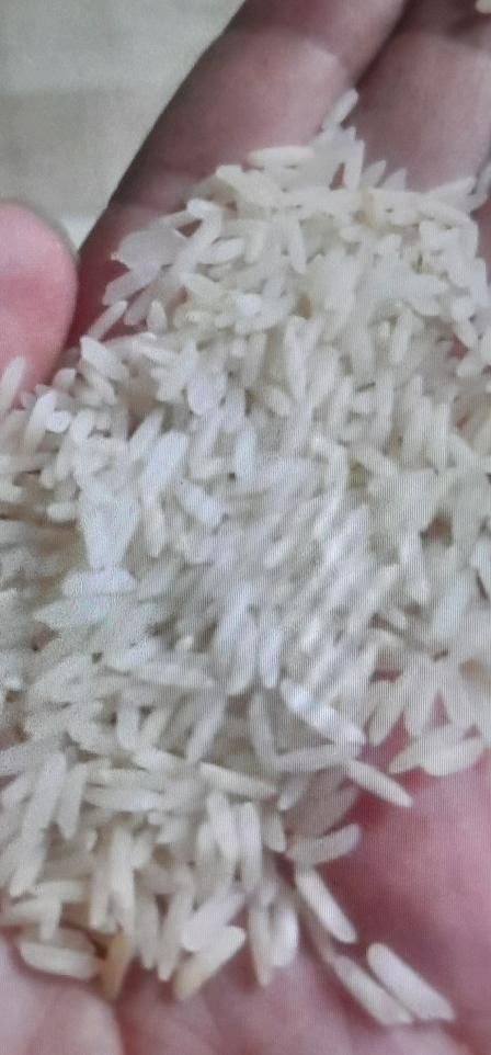برنج طارم هاشمی وطارم سرگل و طارم استخوانی اشرافی|خوردنی و آشامیدنی|کرج, شهرک اوج|دیوار