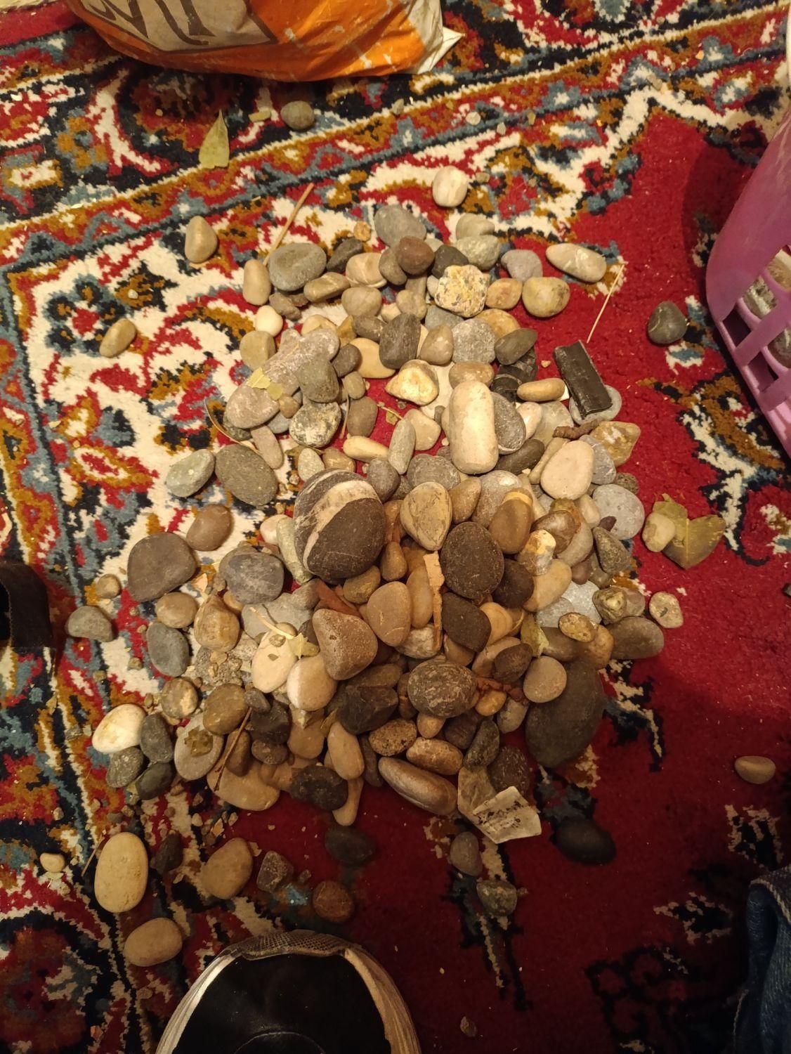 سنگ رودخانه ای|گل و گیاه طبیعی|تهران, باغ فیض|دیوار