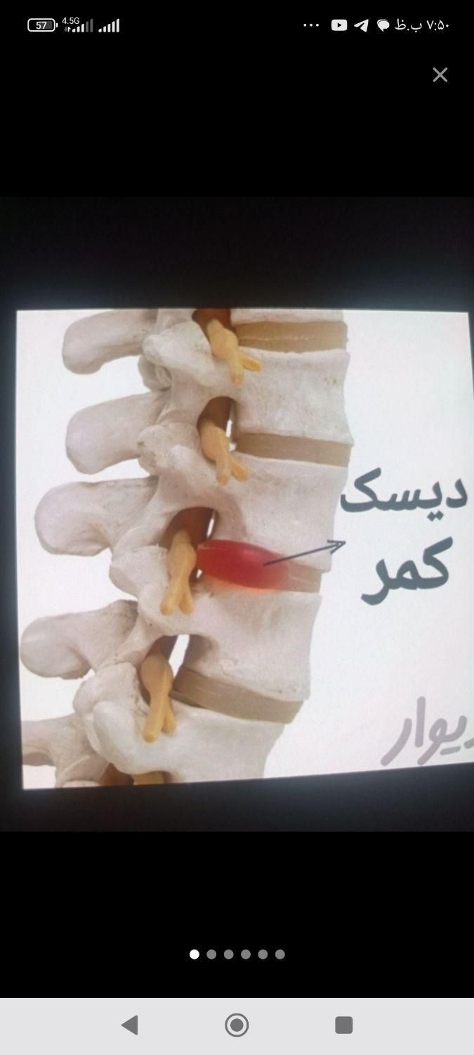 فیزیوتراپی و کاردرمانی تخصصی در منزل وبیمارستان|خدمات آرایشگری و زیبایی|تبریز, |دیوار