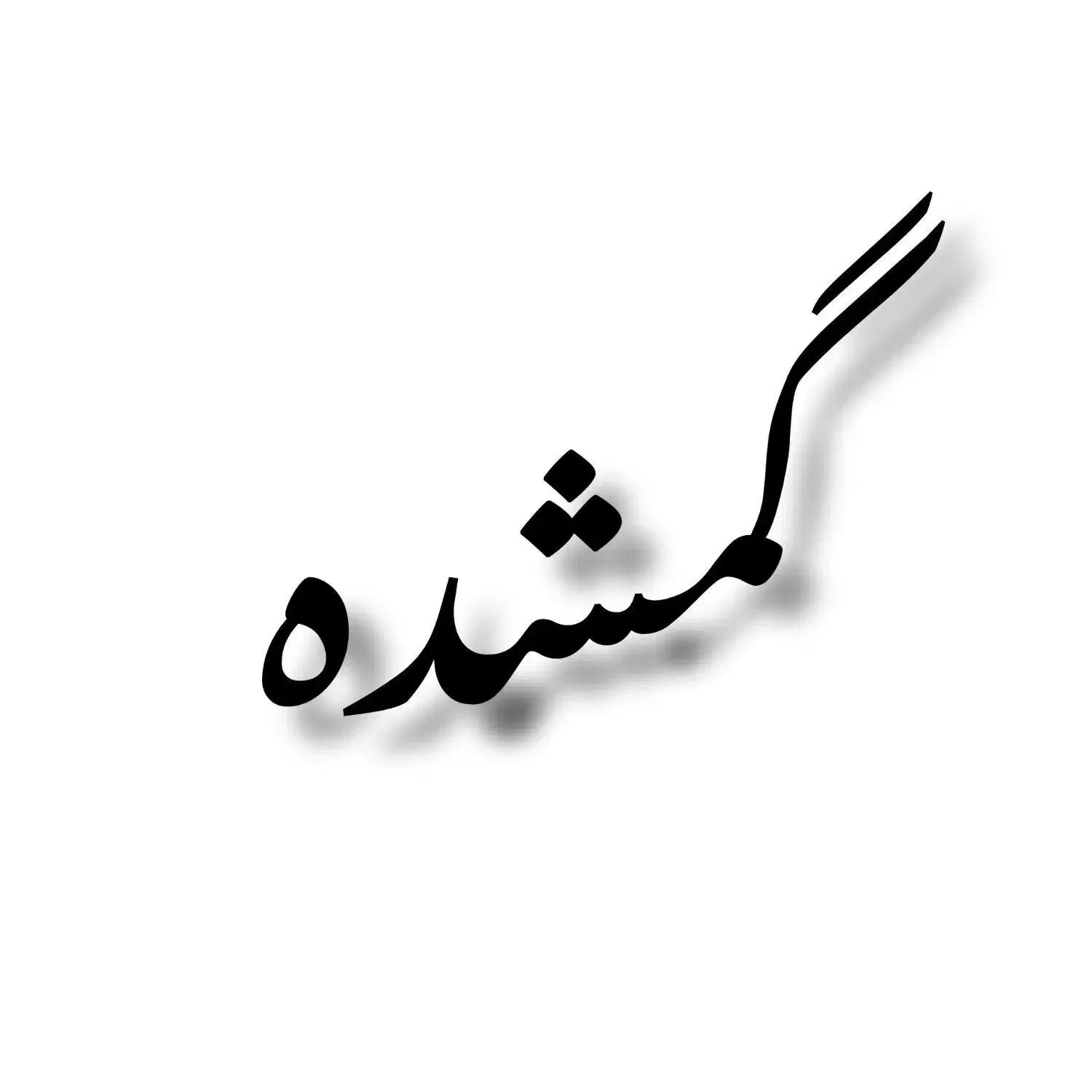 شناسنامه گمشده به اسم سونیا سنگین آبادی|اشیا|سنندج, |دیوار