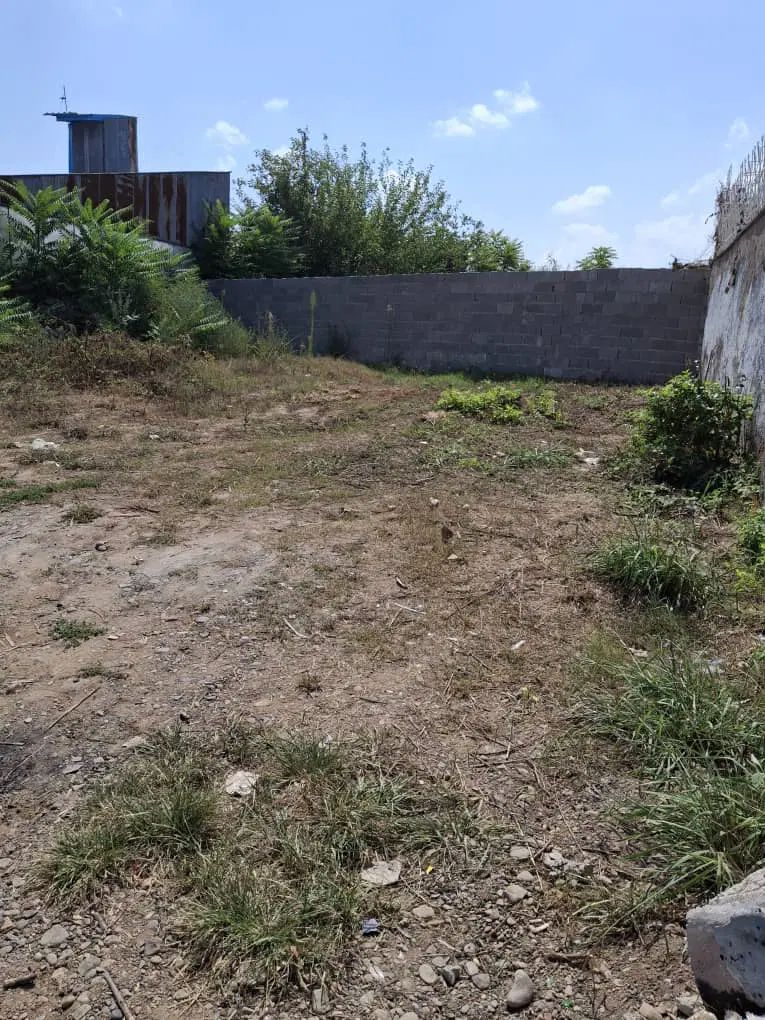 ۱۸۰ متر زمین با اجازه ساخت در آج بیشه رشت|فروش زمین و ملک کلنگی|رشت, جانبازان|دیوار