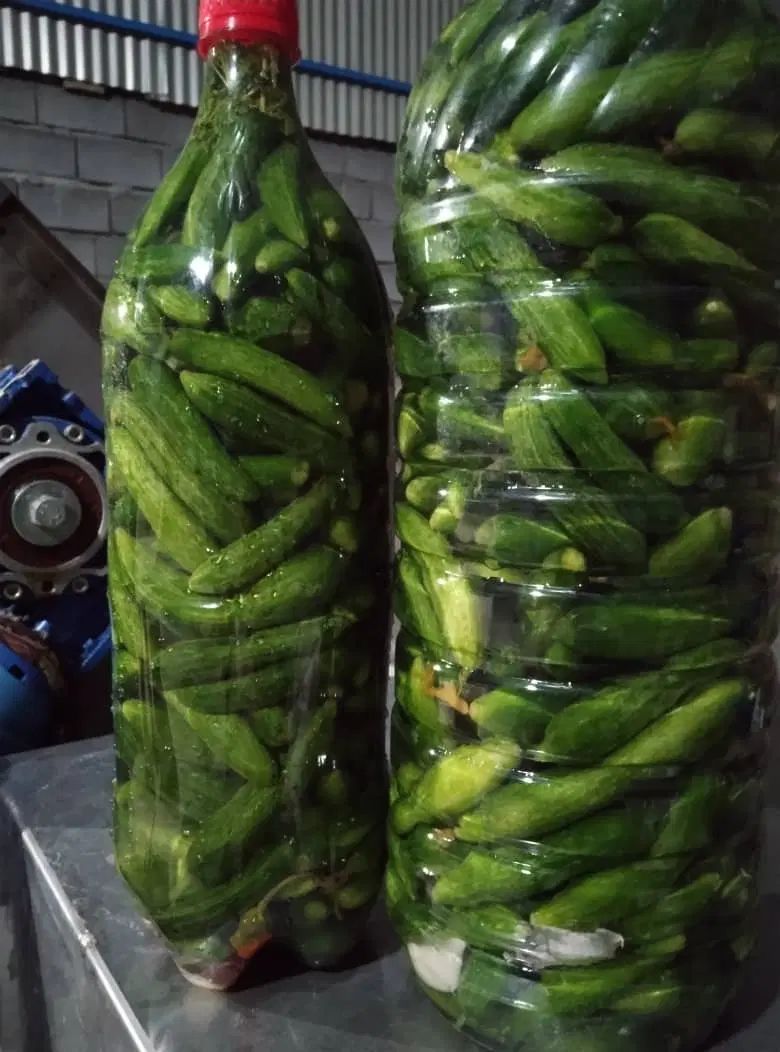 خیارشور تازه همدان|خوردنی و آشامیدنی|تهران, شهرک گلها (تهرانسر)|دیوار