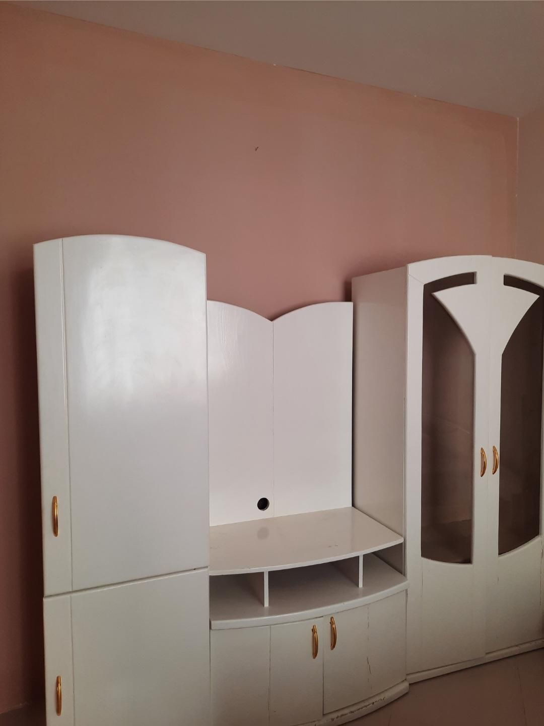 کمد، بوفه و میز تلویزیون|بوفه، ویترین، کنسول|بیرجند, |دیوار