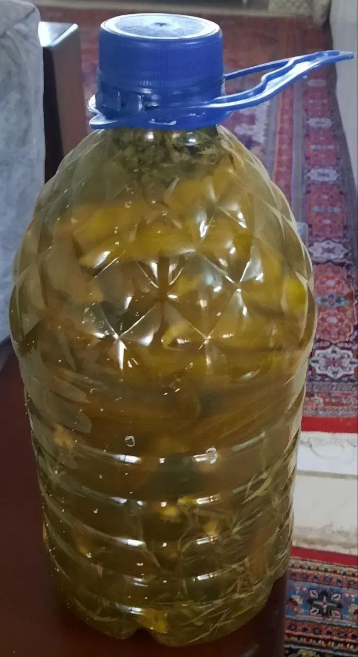 خیارشور اعلا خانگی کاملا بهداشتی و سالم|خوردنی و آشامیدنی|تهران, تهرانسر غربی|دیوار
