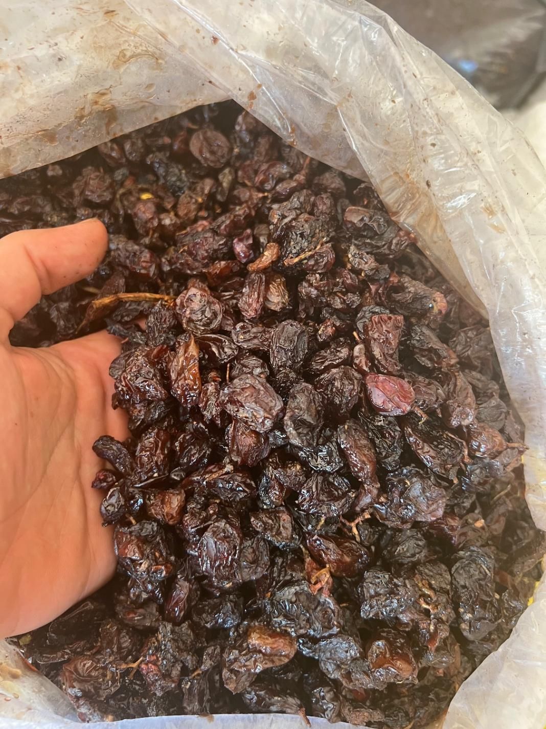 بار تاکستان|خوردنی و آشامیدنی|تاکستان, |دیوار