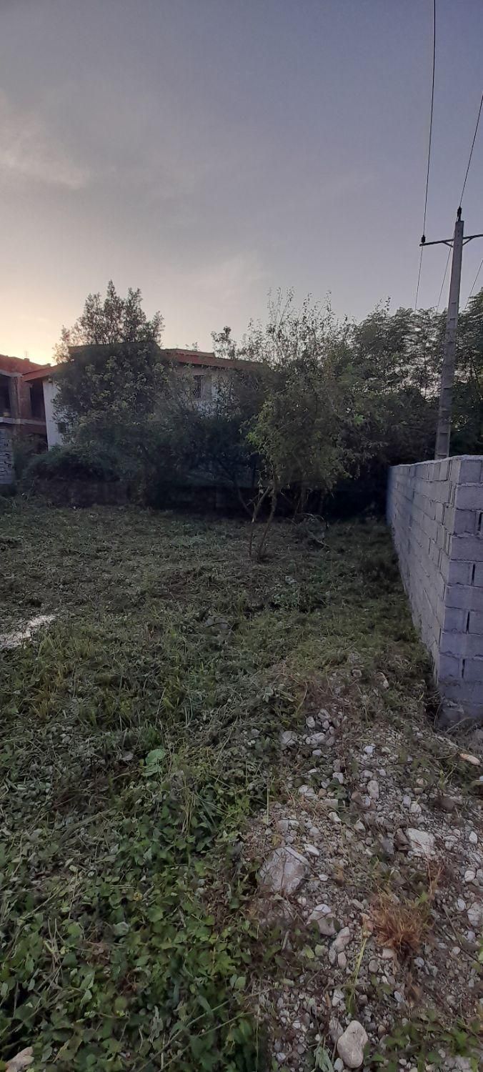 علف تراشی با دستگاه|خدمات باغبانی و درختکاری|نوشهر, |دیوار