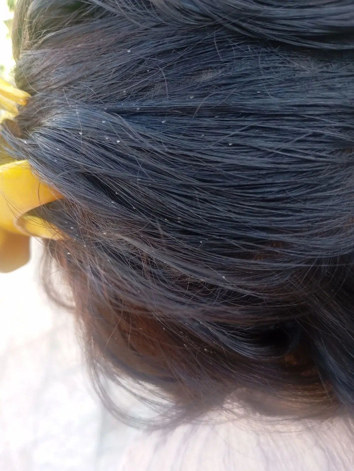 عروسک فروشی هم دارم پاکسازی هم انجام میدم|اسباب‌‌بازی|نیشابور, کشتارگاه|دیوار
