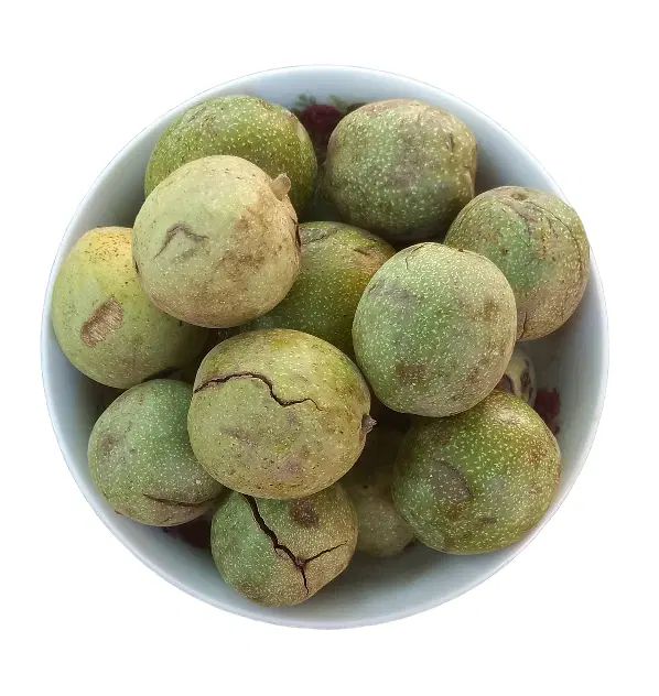 گردو اصل چهارمحال و بختیاری|خوردنی و آشامیدنی|تهران, چیتگر شمالی|دیوار